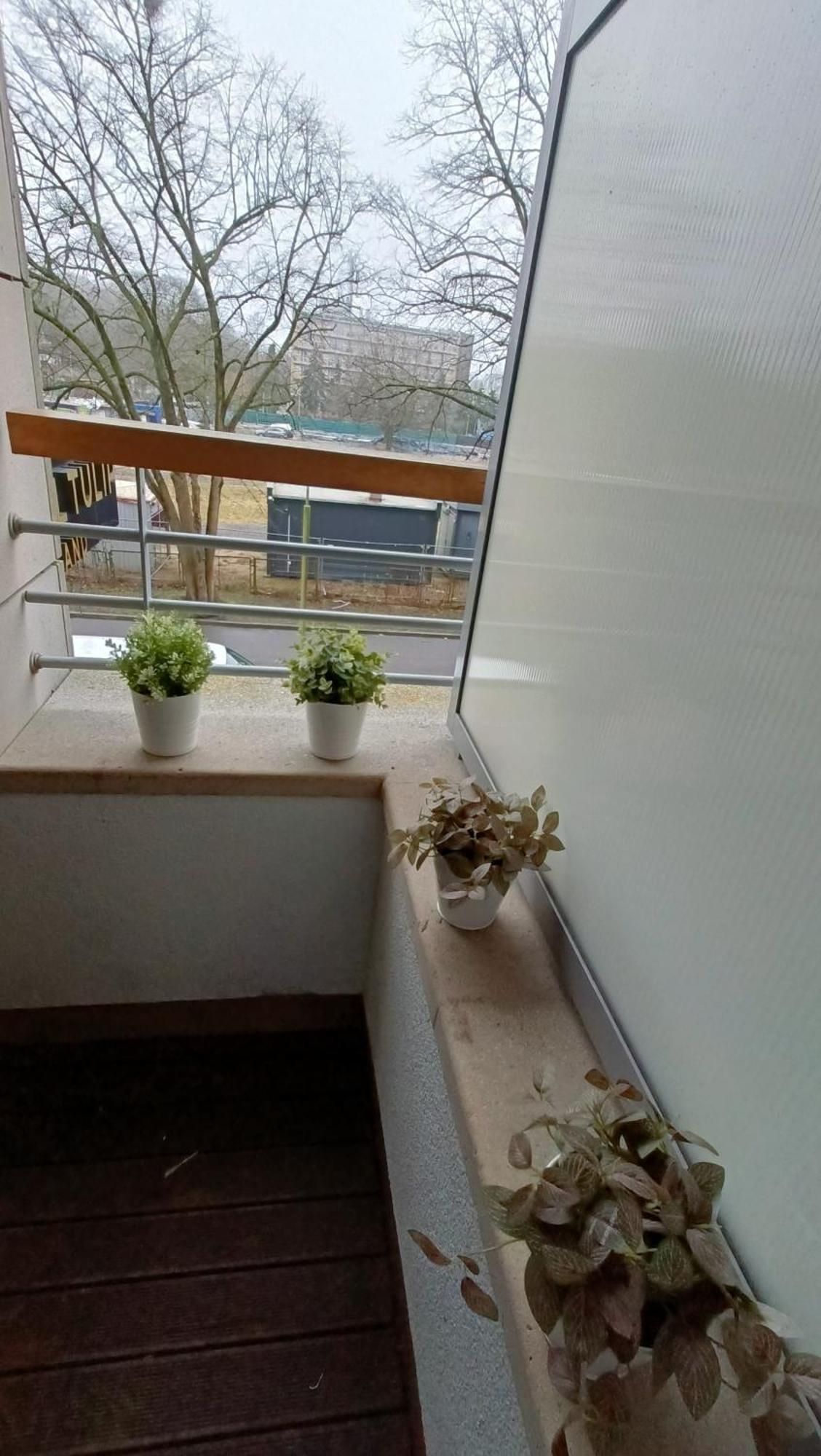Apartament Dobruk Krystyna W Pięciogwiazdkowym Royal Tulip Kołobrzeg